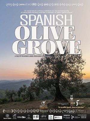 SPANISH OLIVE GROVE