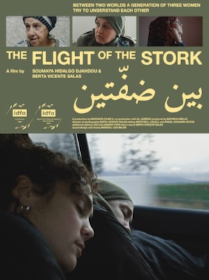 EL VOL DE LA CIGONYA